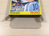Captain Tsubasa VS BOXED GameBoy Game Boy Japan - UE4940