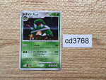 cd3768 Torterra - DPE08 Torterra Pokemon Card TCG Japan
