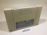 Street Fighter II 2 SNES Super Famicom Japan - SI5343