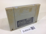 Dragon Ball Z Super Butouden SNES Super Famicom Japan - SJ6836
