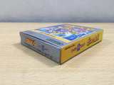 UE6419 Super Mario Land 2 6 Golden Coins BOXED GameBoy Game Boy Japan