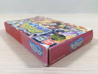 UE5204 One Piece Dragon Dream BOXED GameBoy Advance Japan