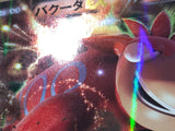 CE9032 Camerupt EX RR XY5GV 021/070 Pokemon Card TCG Japan