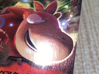 CE9032 Camerupt EX RR XY5GV 021/070 Pokemon Card TCG Japan