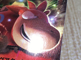 CE9032 Camerupt EX RR XY5GV 021/070 Pokemon Card TCG Japan
