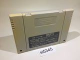 Street Fighter II 2 SNES Super Famicom Japan - SI5345