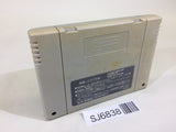 Dragon Ball Z Super Butouden SNES Super Famicom Japan - SJ6838