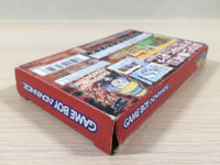 UE5204 One Piece Dragon Dream BOXED GameBoy Advance Japan
