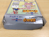 UE6419 Super Mario Land 2 6 Golden Coins BOXED GameBoy Game Boy Japan