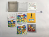 DK7050 Doki Doki Panic Dream Factory Heartbeat BOXED Famicom Disk Japan