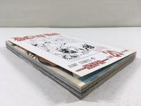 AAA1555 D.Gray-man Vol.20 Japanese Manga