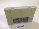 Dragon Quest V 5 SNES Super Famicom Japan - SH5815