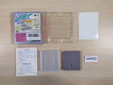 F1 Race BOXED GameBoy Game Boy Japan - UE4942