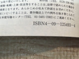 AAA1250 Case Closed Vol.23 Japanese Manga