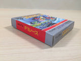 F1 Race BOXED GameBoy Game Boy Japan - UE4942