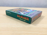 UE8212 The Legend of Zelda Link's Awakening BOXED GameBoy Game Boy Japan