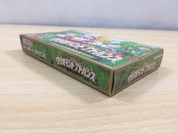 UE6023 Wario Land Advance Mario BOXED GameBoy Advance Japan