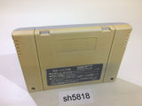 Dragon Quest V 5 SNES Super Famicom Japan - SH5818