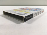 Jikkyou Powerful Pro Yakyuu 10 Chou Ketteiban BOXED GameCube Japan - FH4522