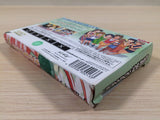 UE5205 Love Hina Advance BOXED GameBoy Advance Japan