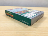 UE8212 The Legend of Zelda Link's Awakening BOXED GameBoy Game Boy Japan