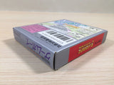 F1 Race BOXED GameBoy Game Boy Japan - UE4942