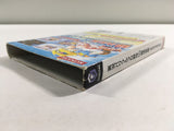 Jikkyou Powerful Pro Yakyuu 10 Chou Ketteiban BOXED GameCube Japan - FH4522