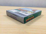 UE8212 The Legend of Zelda Link's Awakening BOXED GameBoy Game Boy Japan