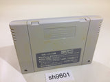 Dragon Quest V 5 SNES Super Famicom Japan - SH9601