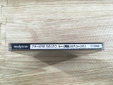 Formula Grand Prix TeamUneiSimulation Racing Sega Saturn Japan - FH9784
