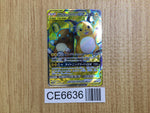 CE6636 Raichu & Alolan Raichu tag team GX SR SM10a 056/054 Pokemon TCG Japan