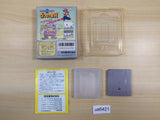 UE6421 Super Mario Land 2 6 Golden Coins BOXED GameBoy Game Boy Japan