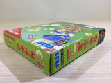 DK6818 Nazo Puyo 2 Puyo BOXED Sega Game Gear Japan