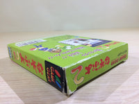 DK6818 Nazo Puyo 2 Puyo BOXED Sega Game Gear Japan