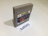 BZ6055 Castlevania II 2 Belmont's Revenge GameBoy Game Boy Japan