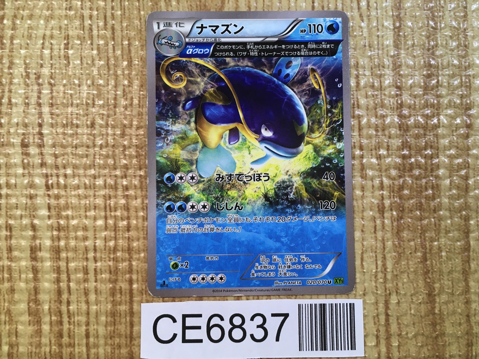 ラブトロス　1枚　50円 最高品質]マダガスカル産ラブラドライトブレスレット（約6mm玉