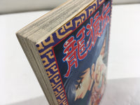 AAA1852 Okami Den Vol.12 Japanese Manga