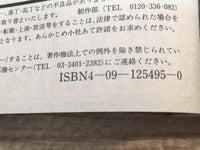 AAA1252 Case Closed Vol.25 Japanese Manga