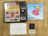 Super Princess Peach BOXED Nintendo DS Japan - FH6515