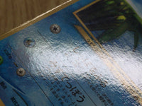 CE4037 Wooper PROMO korokoro 194 Pokemon Card TCG Japan
