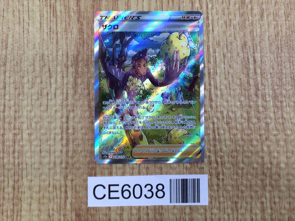 CE6038 Grant SAR s12a 238/172 Pokemon Card TCG Japan
