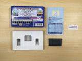 UE6025 Kirby & the Amazing Mirror BOXED GameBoy Advance Japan