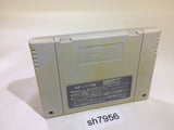 Dragon Quest V 5 SNES Super Famicom Japan - SH7956