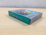 Kaeru no Tame ni Kane wa Naru BOXED GameBoy Game Boy Japan - UE5899
