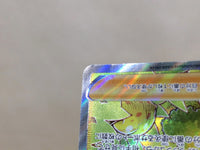 CE6038 Grant SAR s12a 238/172 Pokemon Card TCG Japan