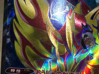 CE8638 Zamazenta SR sI 417/414 Pokemon Card TCG Japan