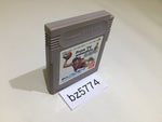 BZ5774 Slam Dunk From TV Animation GameBoy Game Boy Japan