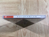 Dream Passport 2 Dreamcast Japan - FH8219