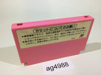 ag4988 Super Mario USA NES Famicom Japan
