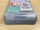 Kaeru no Tame ni Kane wa Naru BOXED GameBoy Game Boy Japan - UE5899